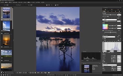 Digital Photo Professional 4.18.0 for Windows｜キヤノン.